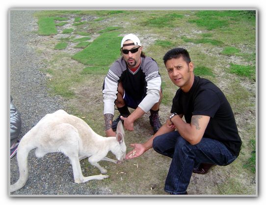 FJ & Stevo with white Roo